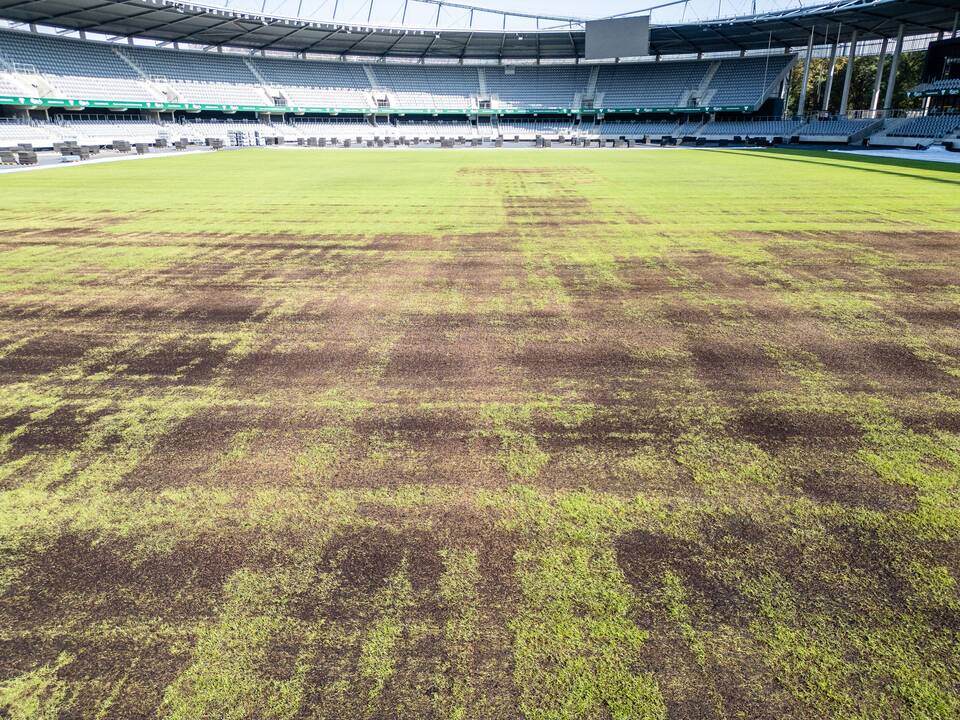 Dariaus ir Girėno stadiono veja