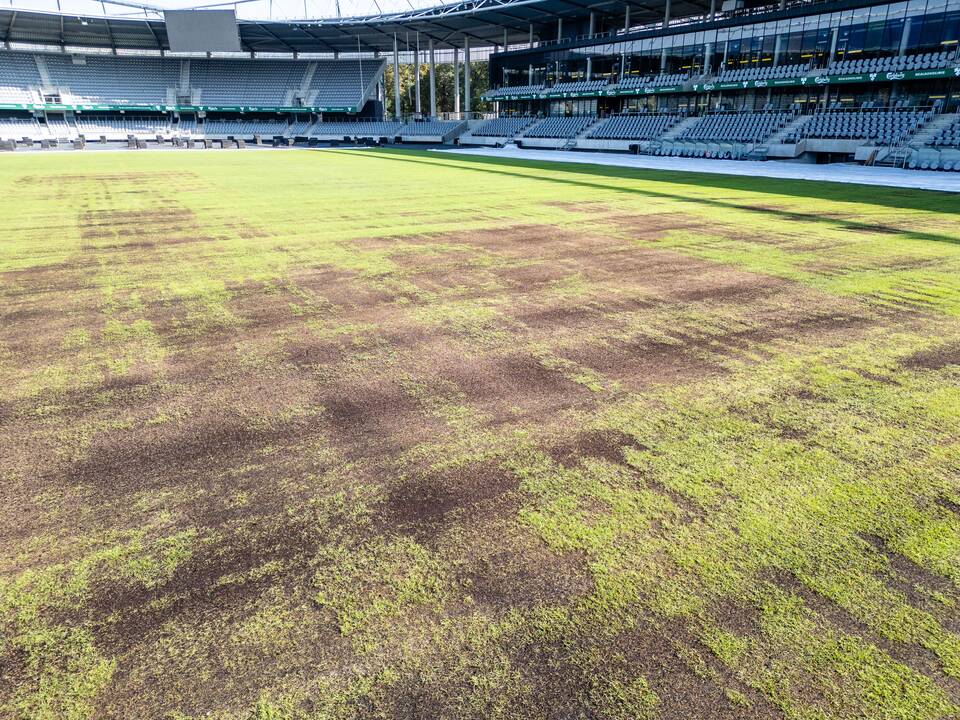 Dariaus ir Girėno stadiono veja