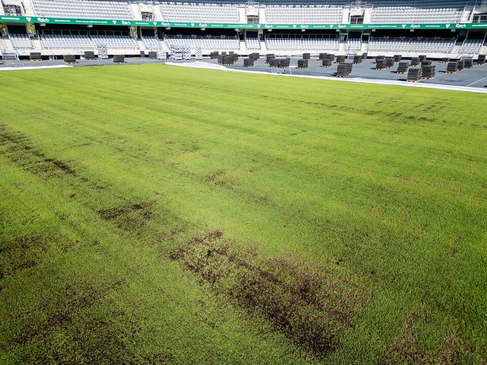 Dariaus ir Girėno stadiono veja