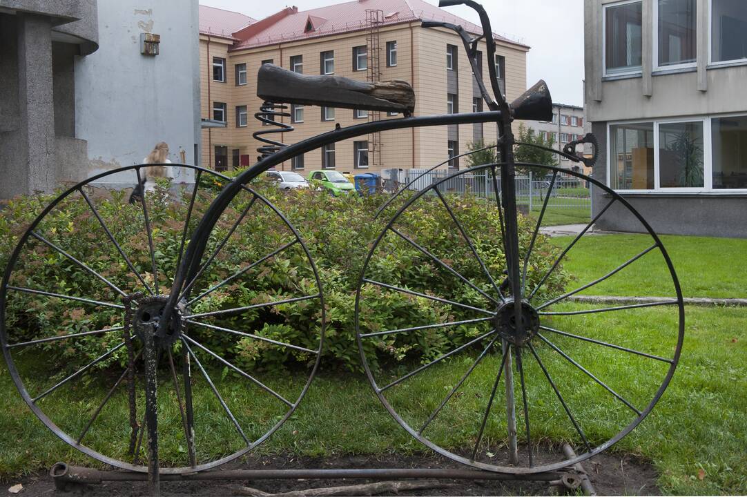 Nauda: dviratis – ne tik žaliasis laisvalaikio draugas, bet ir treneris, gydytojas.