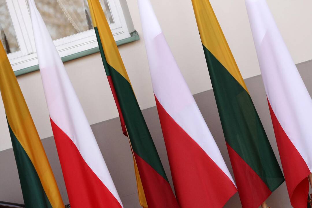 Patvirtintas Abiejų Tautų Respublikos Konstitucijos minėjimo renginių planas