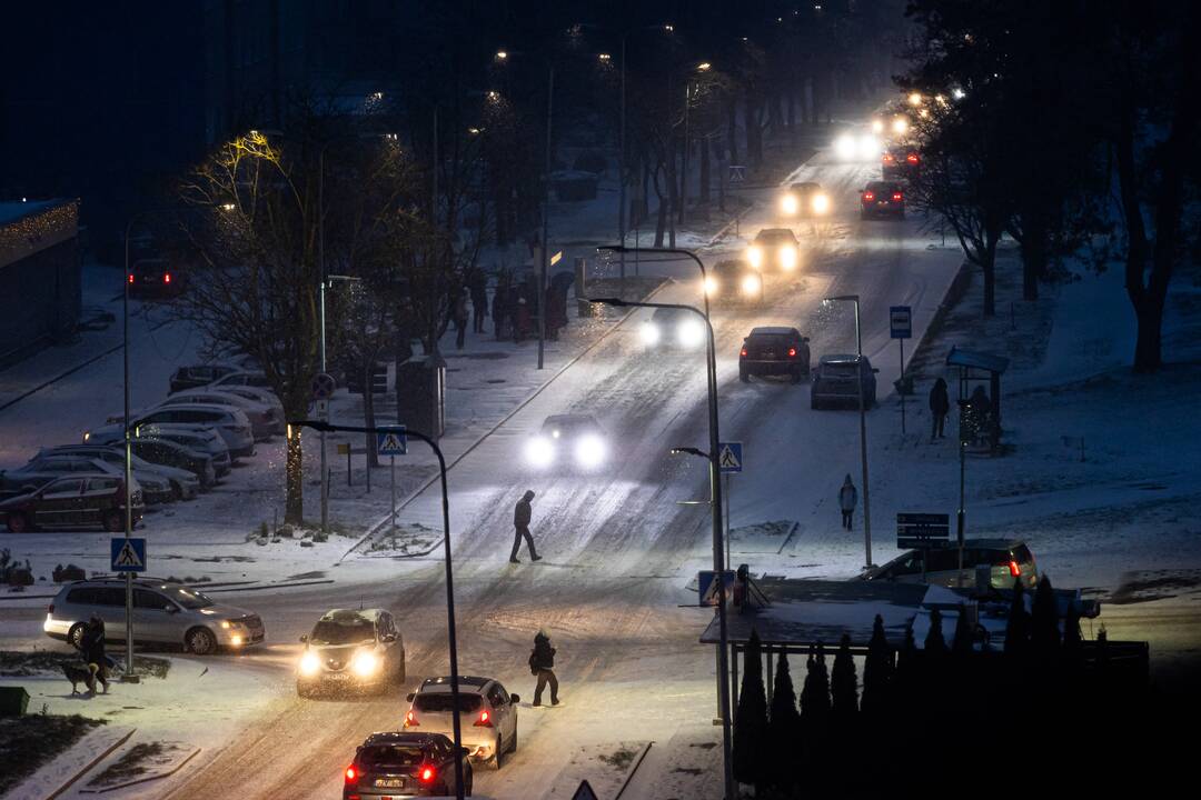 Pūga Vilniuje