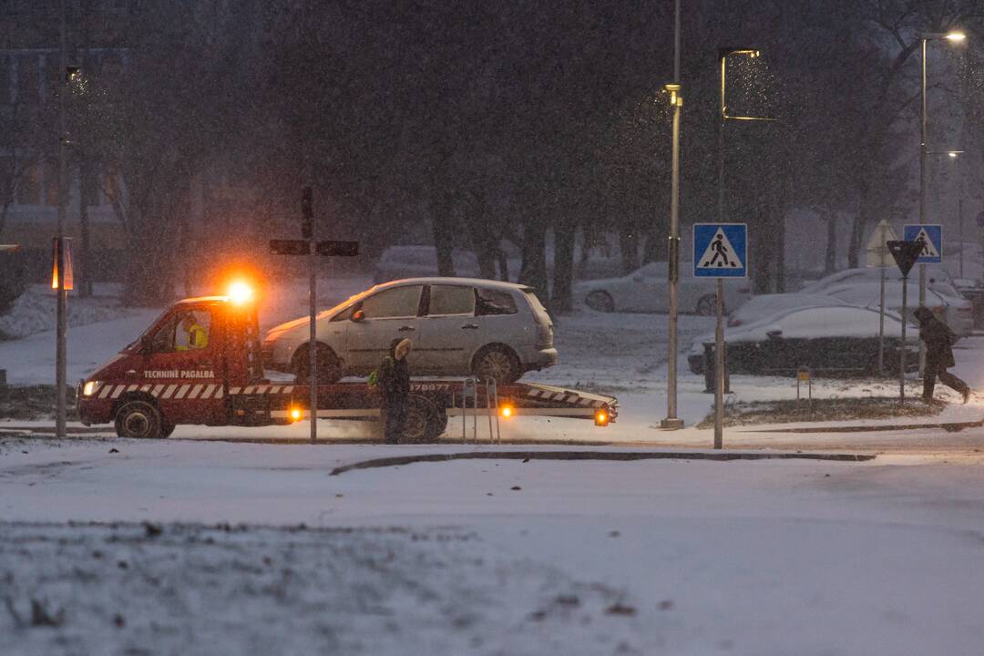 Pūga Vilniuje