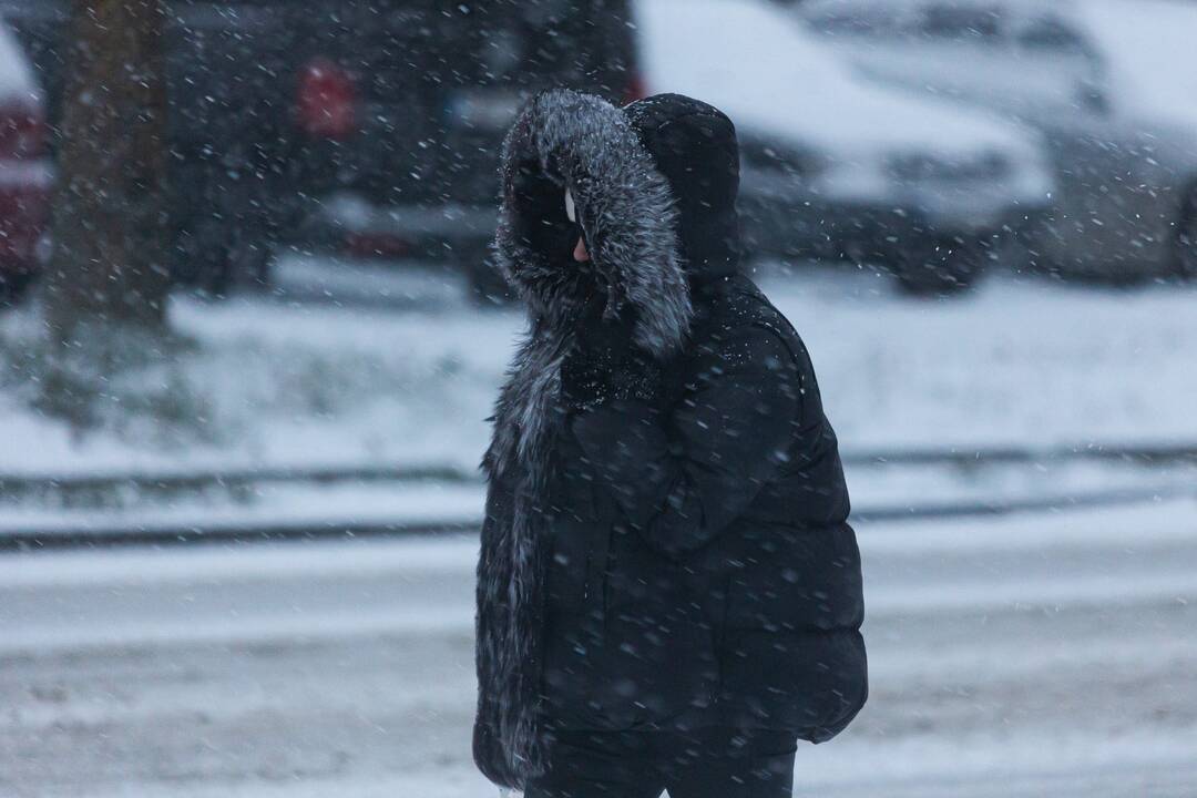 Pūga Vilniuje