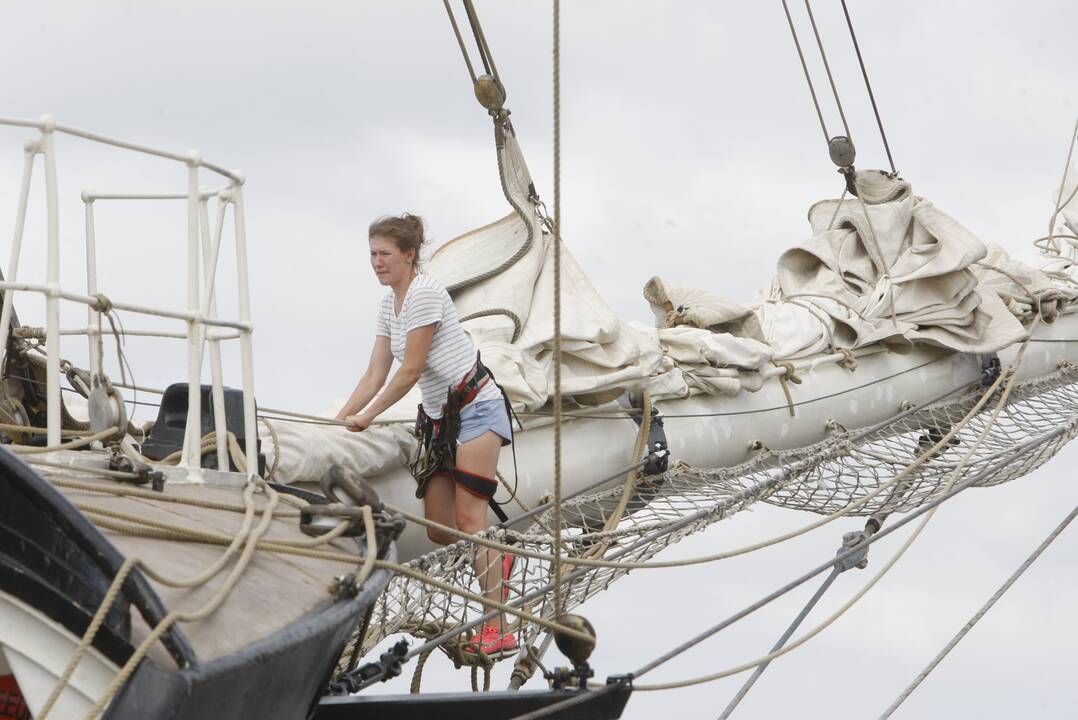 Regata pasiekė Klaipėdą: burlaiviai – įspūdingi