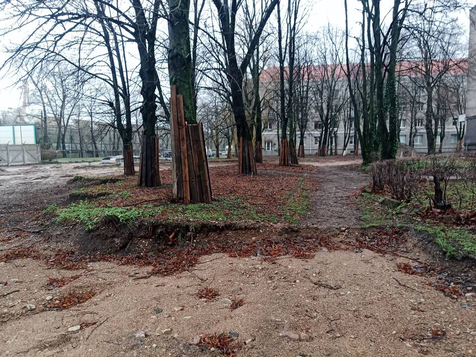Permainos: didelis plotas, kuriame dar neseniai žėlė krūmai, dabar tapo zona, kurioje kasamas užterštas gruntas.