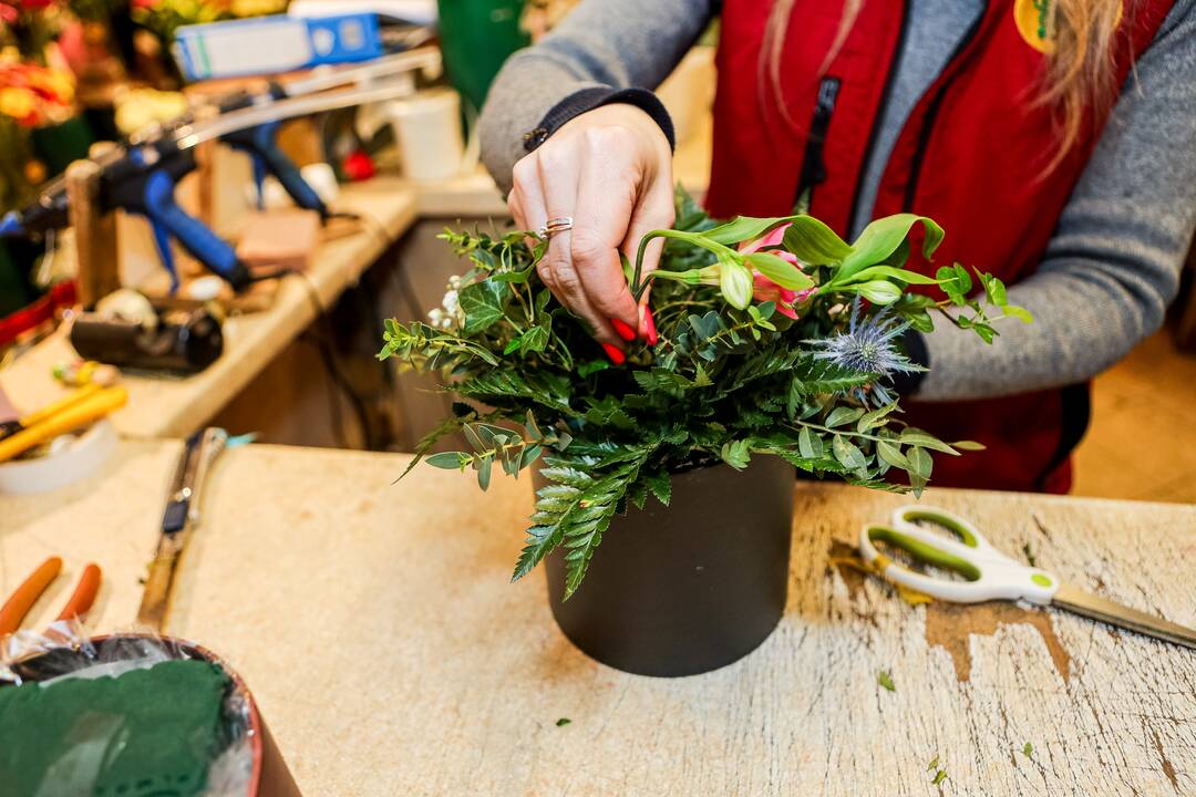 „Lietuviai mėgsta orchidėjas. Šios egzotiškos nuostabaus grožio gėlės paprastai dovanojamos mylimiausiems žmonėms“, – sako salono „Tarp gėlių“ komercijos vadovas A. Gaidys. 