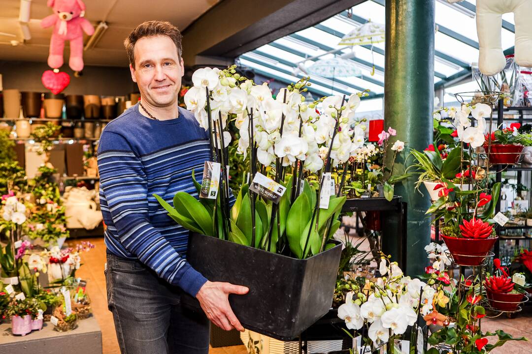 „Lietuviai mėgsta orchidėjas. Šios egzotiškos nuostabaus grožio gėlės paprastai dovanojamos mylimiausiems žmonėms“, – sako salono „Tarp gėlių“ komercijos vadovas A. Gaidys. 