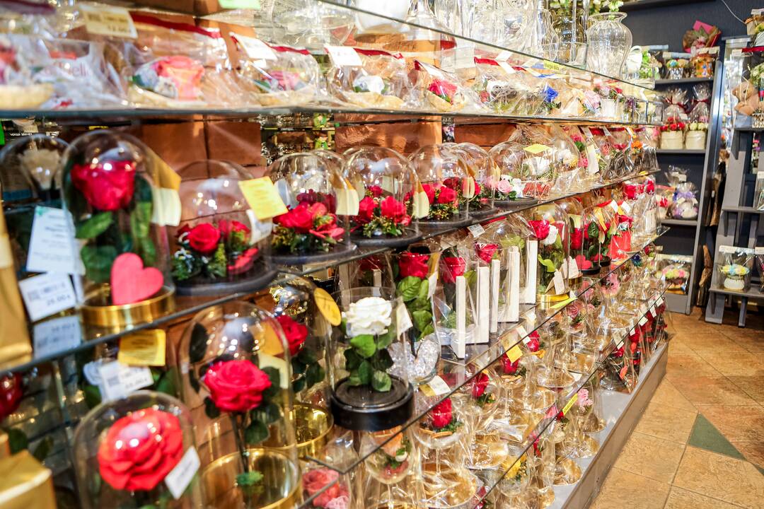 „Lietuviai mėgsta orchidėjas. Šios egzotiškos nuostabaus grožio gėlės paprastai dovanojamos mylimiausiems žmonėms“, – sako salono „Tarp gėlių“ komercijos vadovas A. Gaidys. 