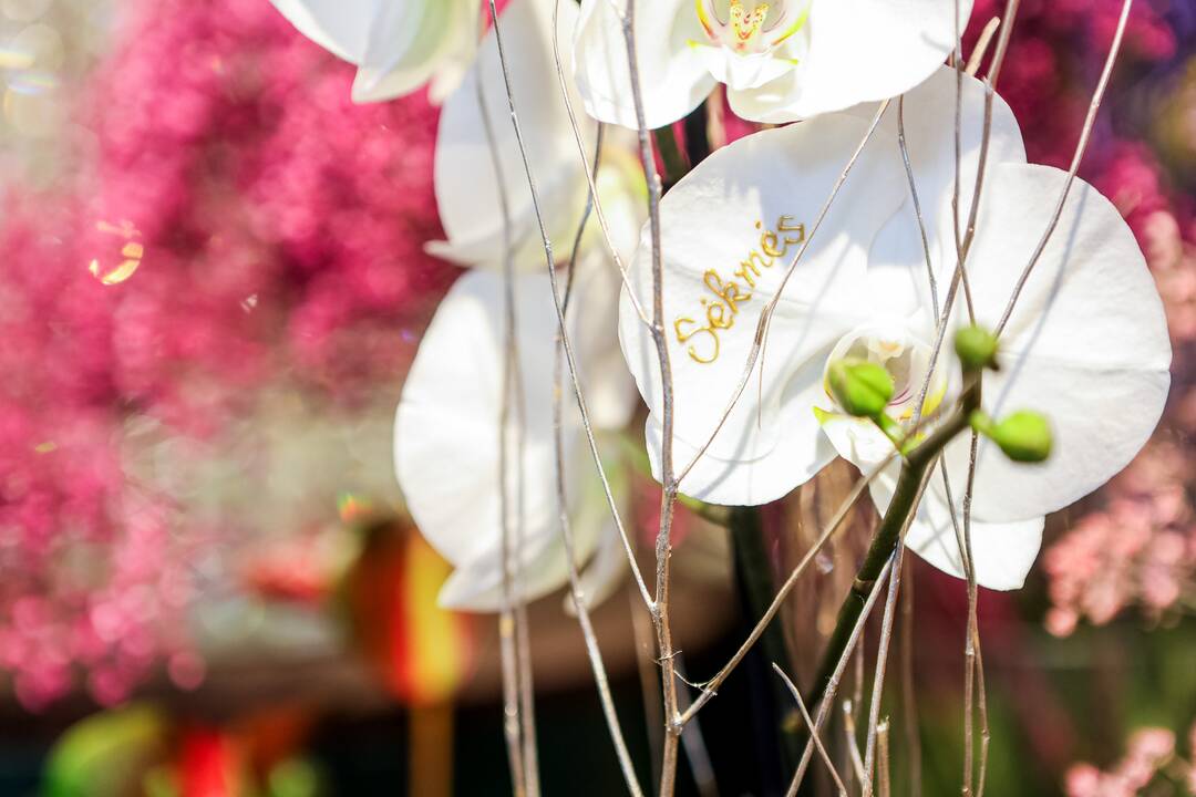 „Lietuviai mėgsta orchidėjas. Šios egzotiškos nuostabaus grožio gėlės paprastai dovanojamos mylimiausiems žmonėms“, – sako salono „Tarp gėlių“ komercijos vadovas A. Gaidys. 