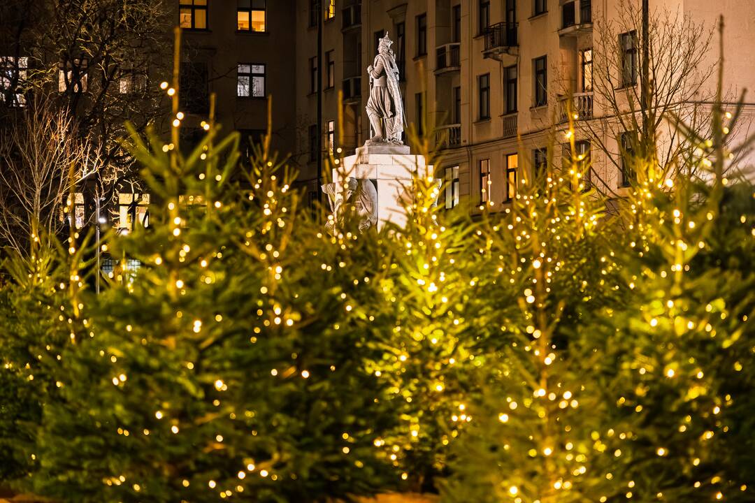 Kalėdiniai Kauno papuošimai jau džiugina praeivius