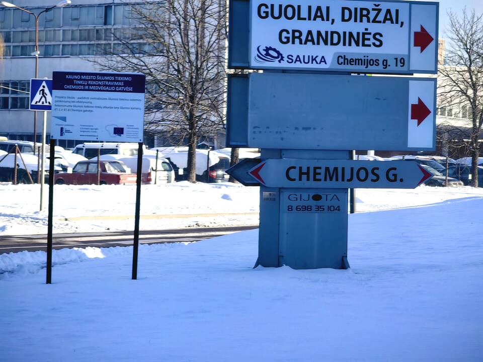 Kaune dingusios mergaitės paieškos ir vietovės