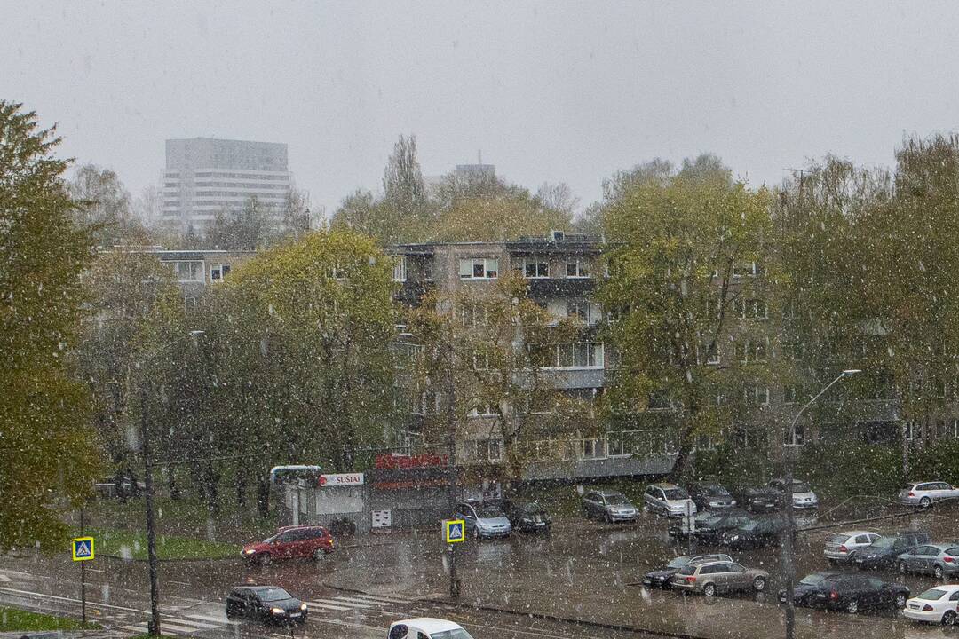 Šlabdriba Kaune