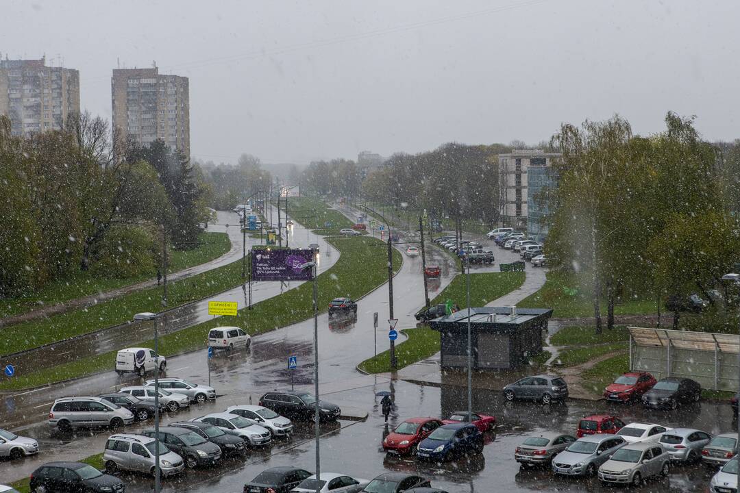 Šlabdriba Kaune