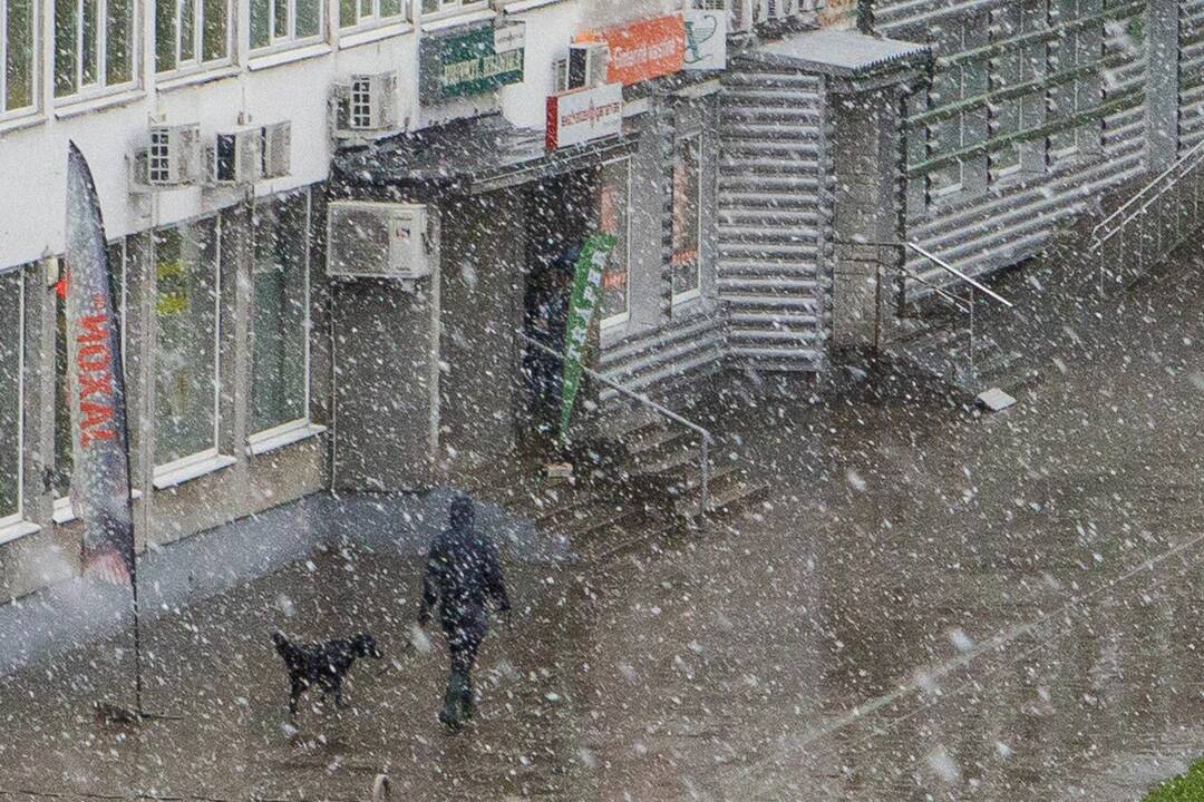 Šlabdriba Kaune