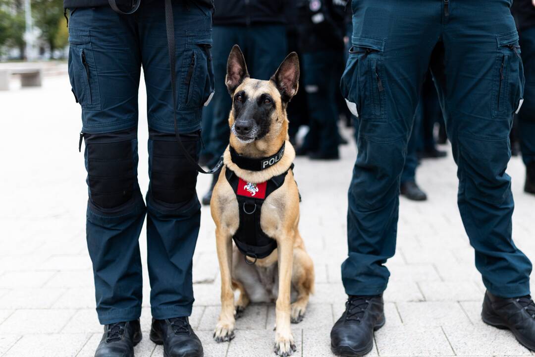 Policijos bendruomenės eitynės Vilniuje
