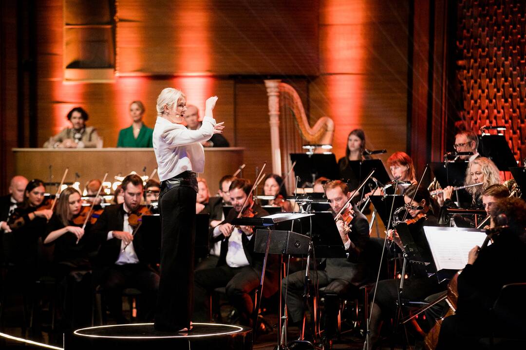 Muzikinio projekto „Maestro“ finalas