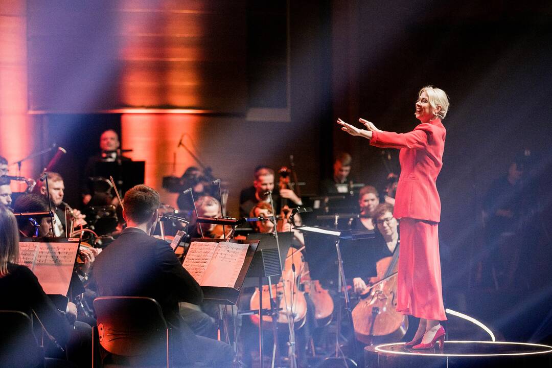 Muzikinio projekto „Maestro“ finalas