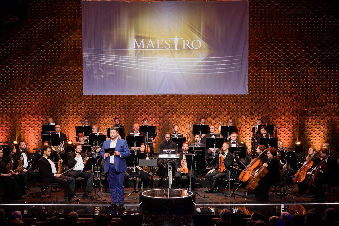 Muzikinio projekto „Maestro“ finalas