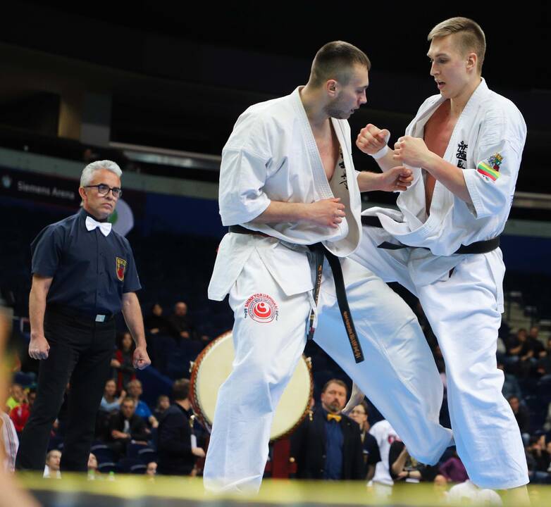 Europos pilno kontakto karatė čempionatas