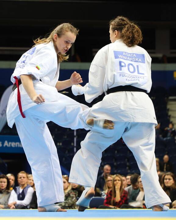 Europos pilno kontakto karatė čempionatas