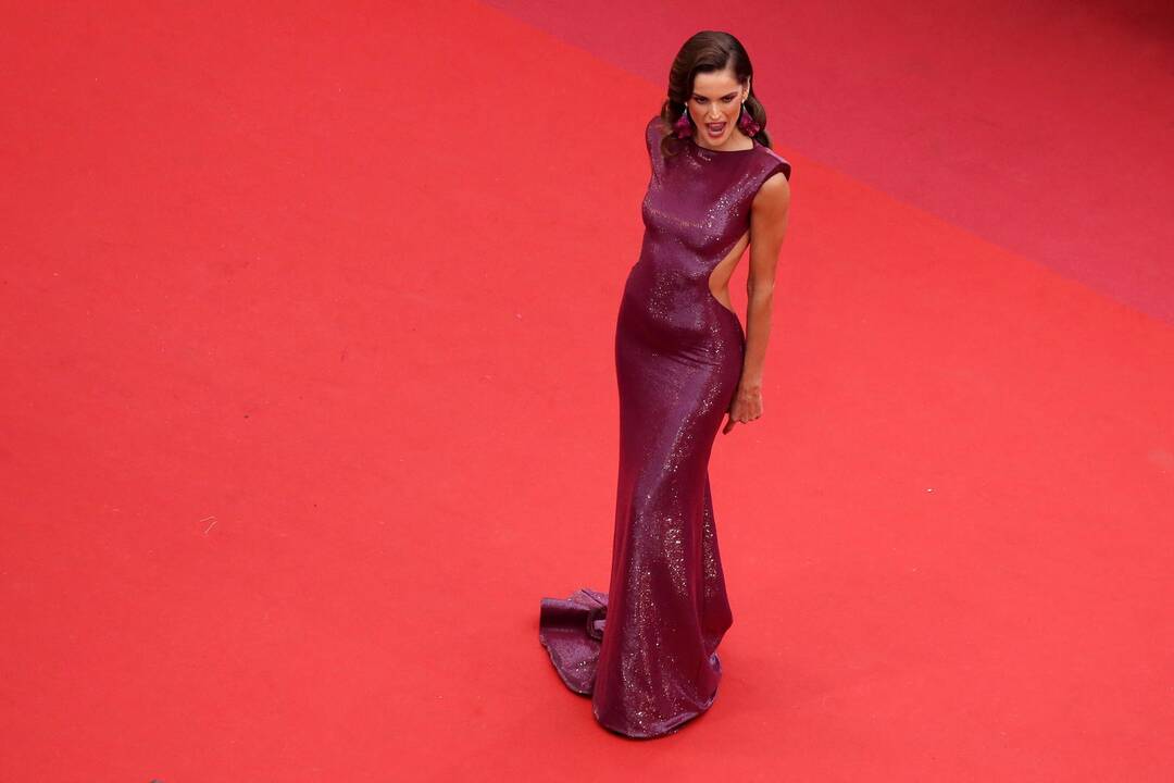 Prasidėjo Kanų kino festivalis