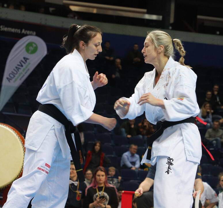 Europos pilno kontakto karatė čempionatas