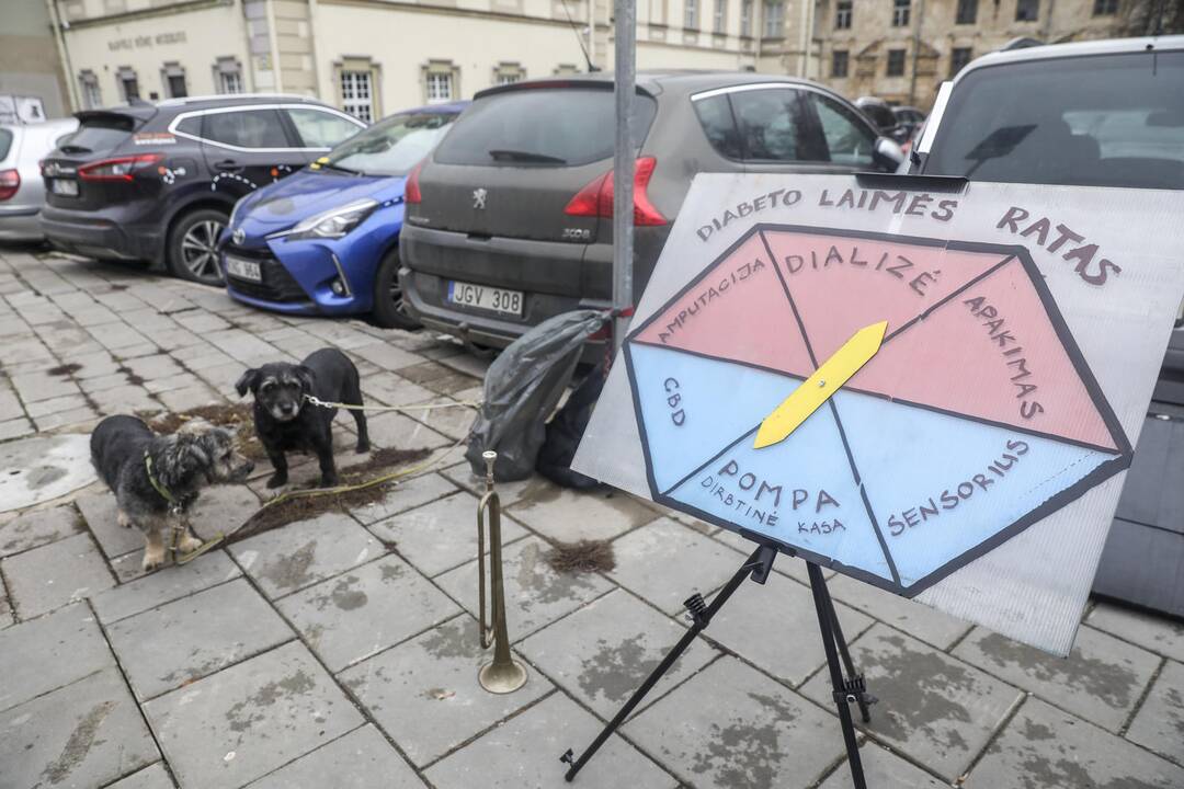 Sergantieji cukriniu diabetu prie SAM surengė piketą