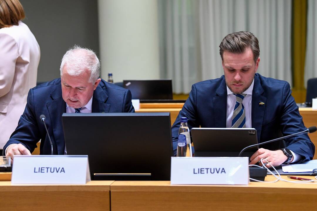 Arvydas Anušauskas (kairėje) ir Gabrielius Landsbergis