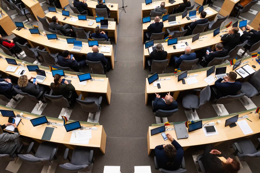Seimo salėje – aistros: ne visiems galbūt to ūgio duota tiek, kad būtų pastebimi