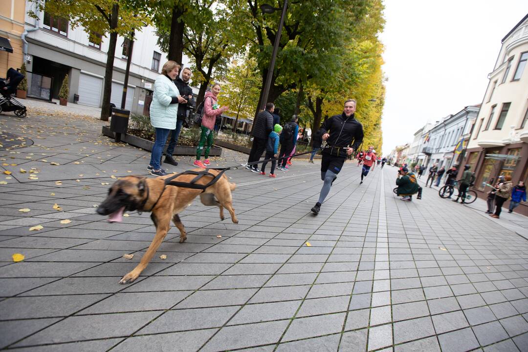 Laisvės alėją užtvindė bėgikai