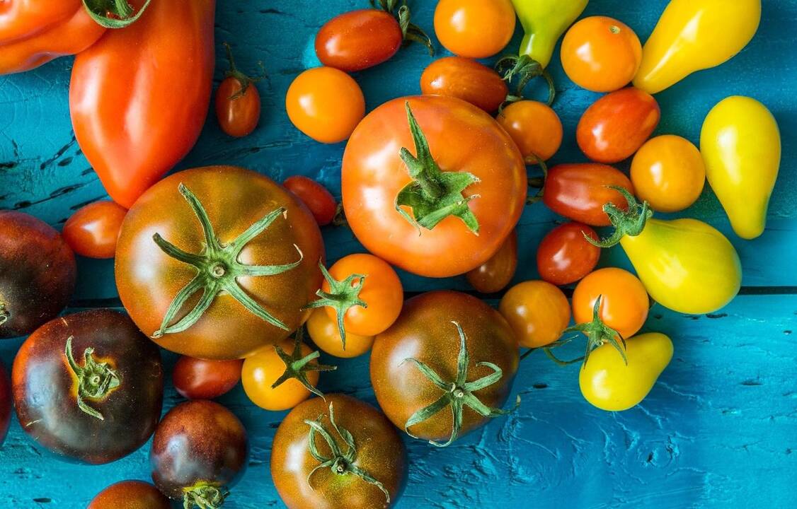 Įdomūs ir originalūs patiekalai iš pomidorų