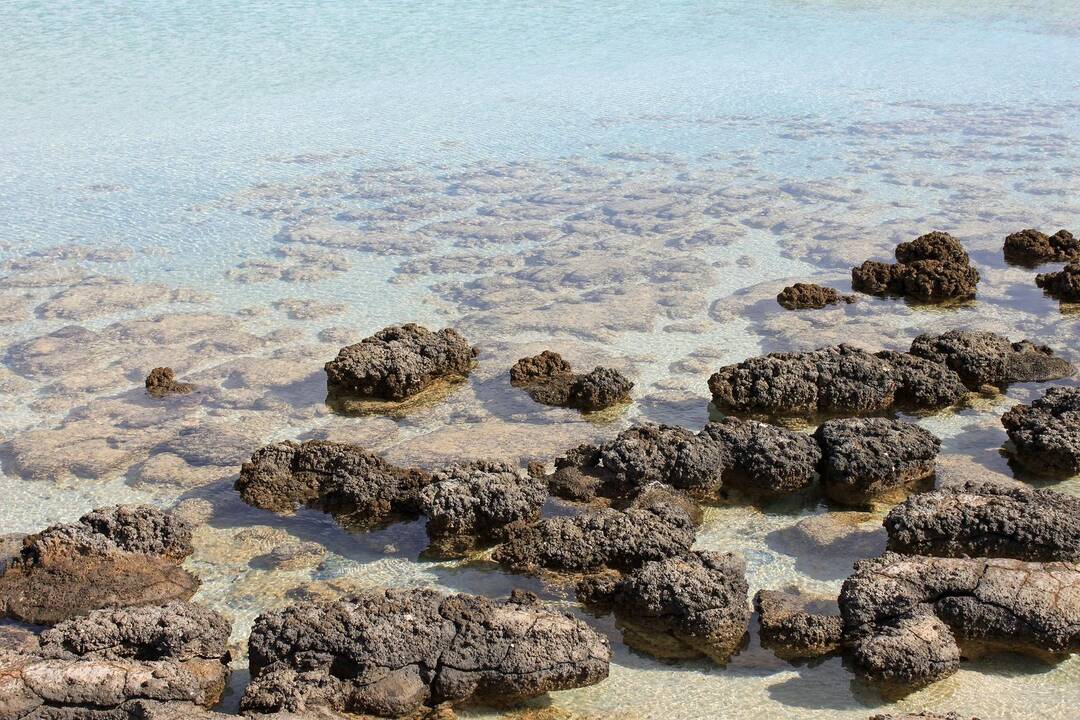 Asociatyvi nuotr.