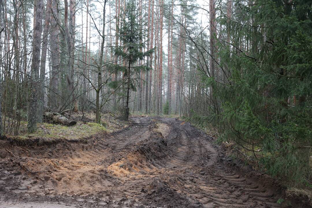 Pabradėje dingusių keturių JAV karių gelbėjimo operacija