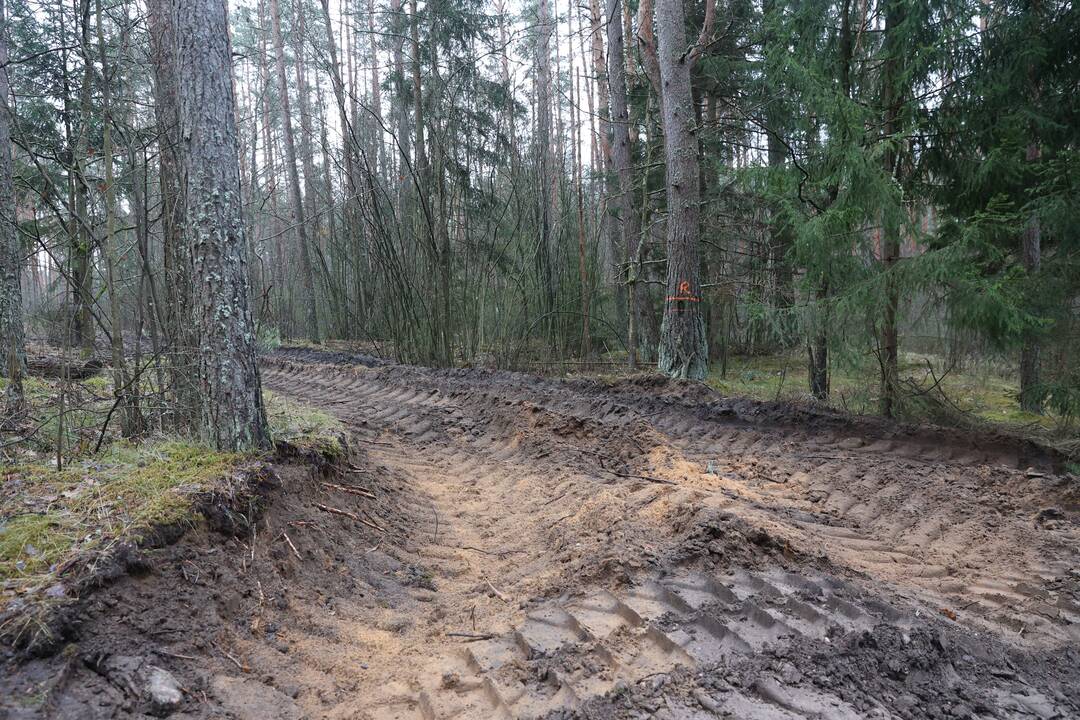 Pabradėje dingusių keturių JAV karių gelbėjimo operacija