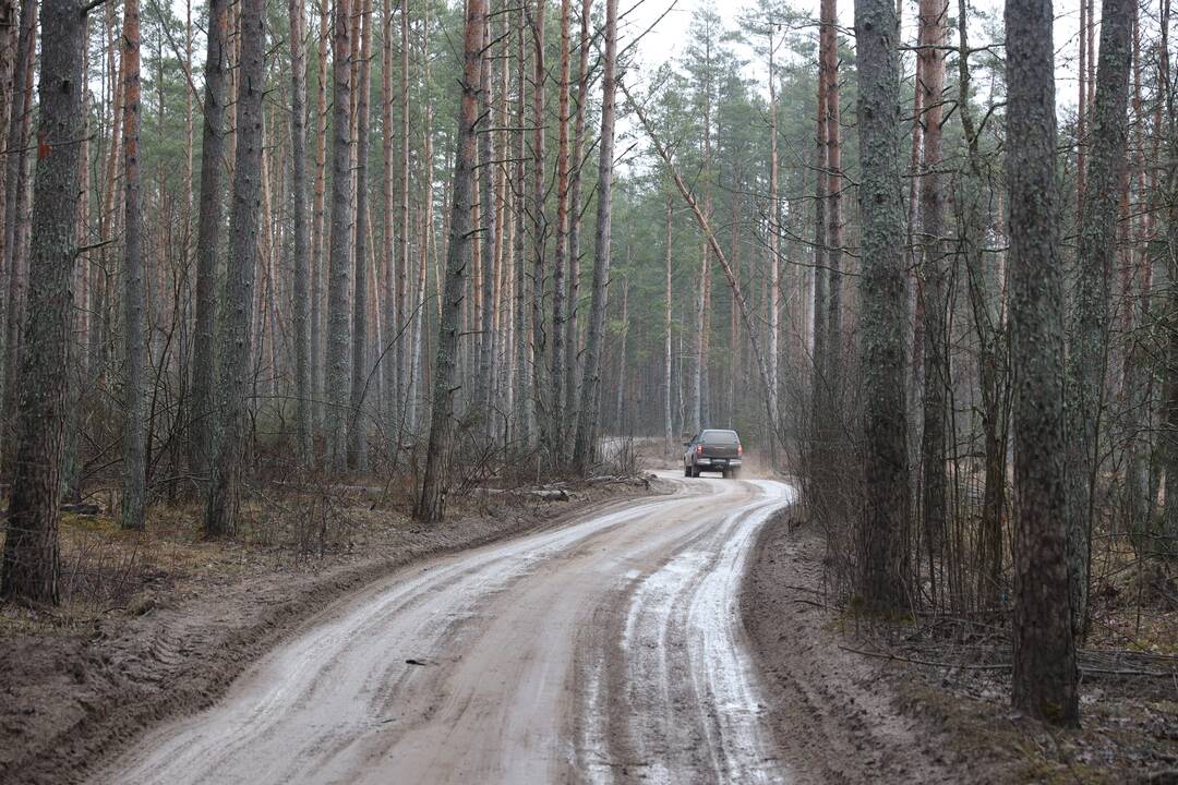 Pabradėje dingusių keturių JAV karių gelbėjimo operacija