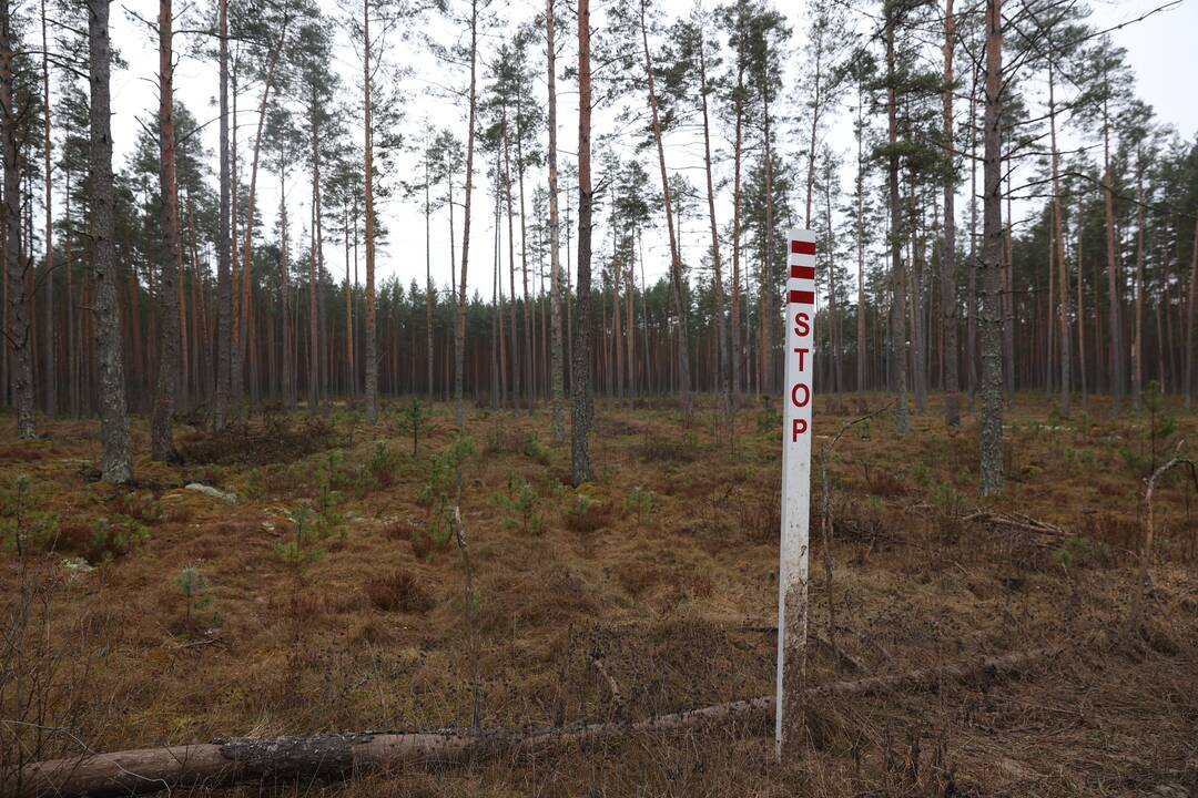 Pabradėje dingusių keturių JAV karių gelbėjimo operacija