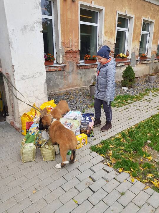Gausa: štai tiek dovanų Vėjo draugai suruošė beglobiams keturkojams. 