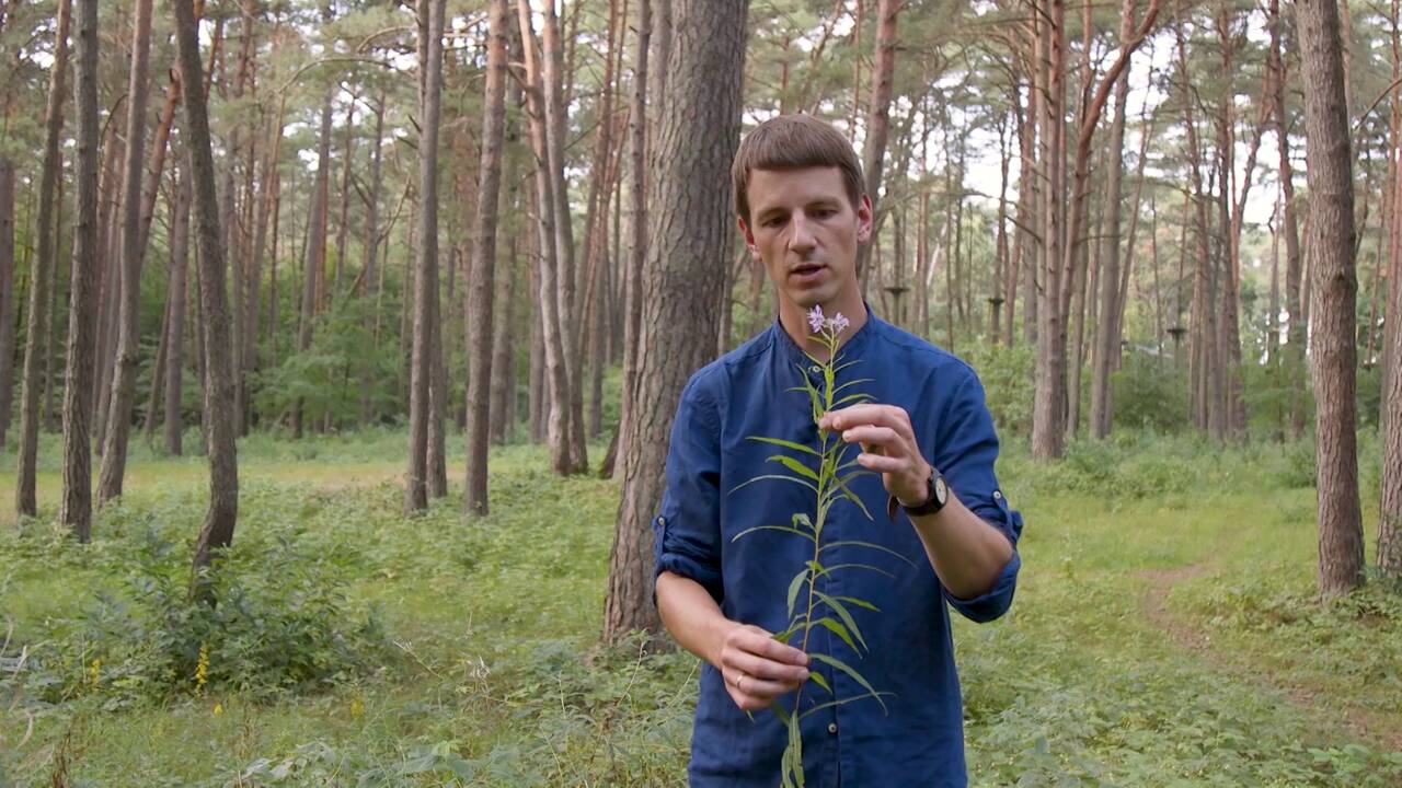 Marius Lasinskas
