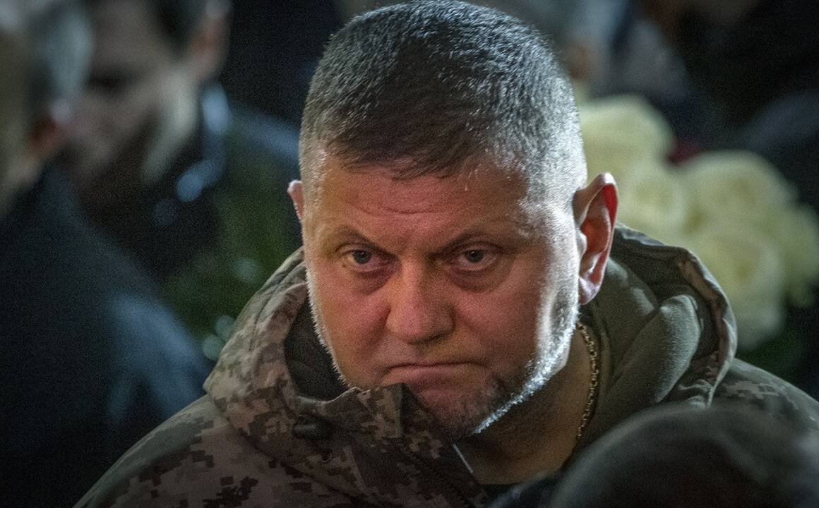 Valerijus Zalužnas