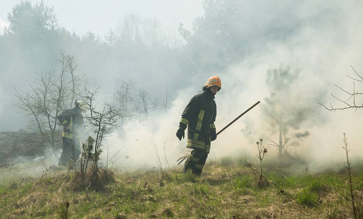 Per karines pratybas Jonavos rajone užsidegė žolė