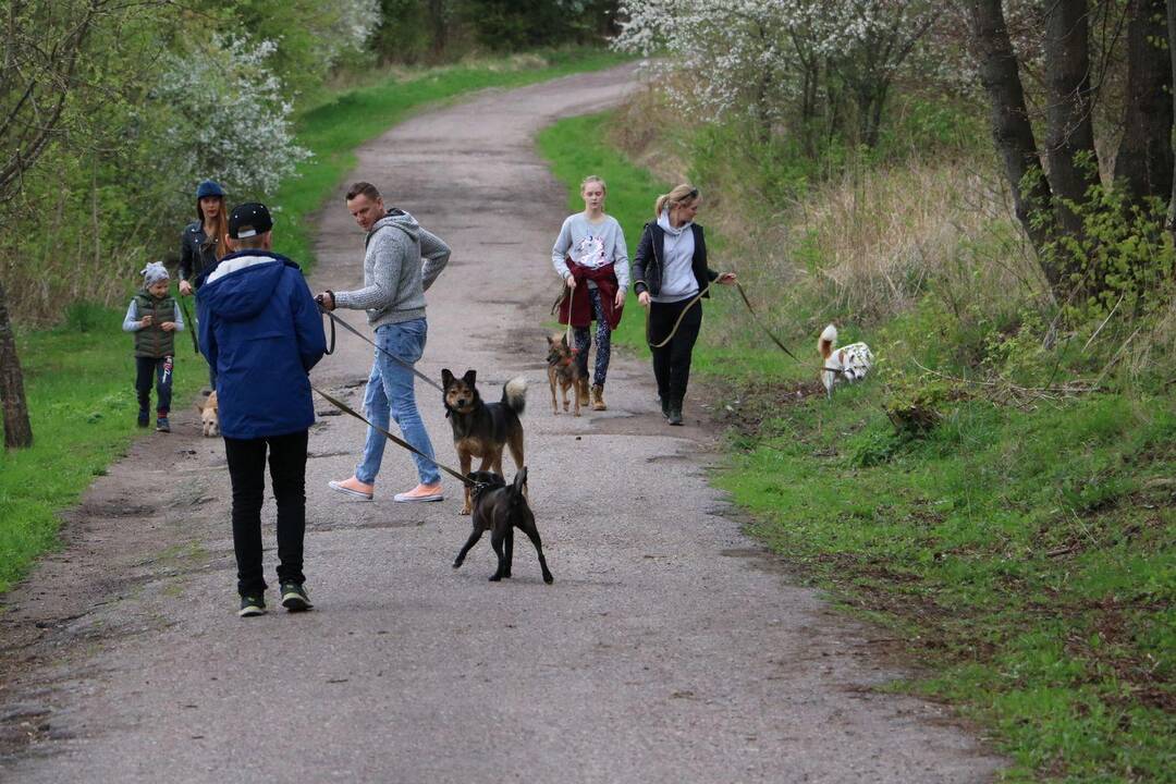 Gyvūnų prieglaudos namuose – netikėti svečiai
