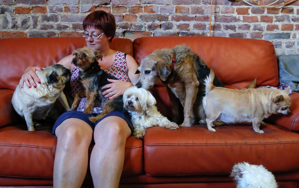 Didžioji Britanija siūlo uždrausti trečiosioms šalims prekiauti naminiais gyvūnais