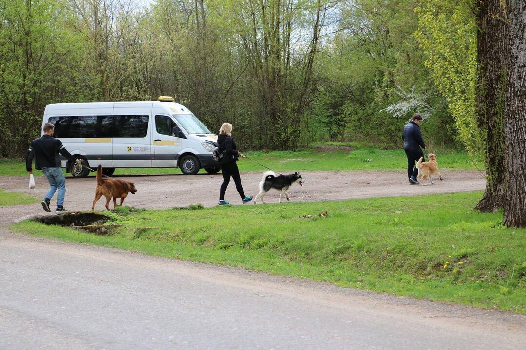 Gyvūnų prieglaudos namuose – netikėti svečiai