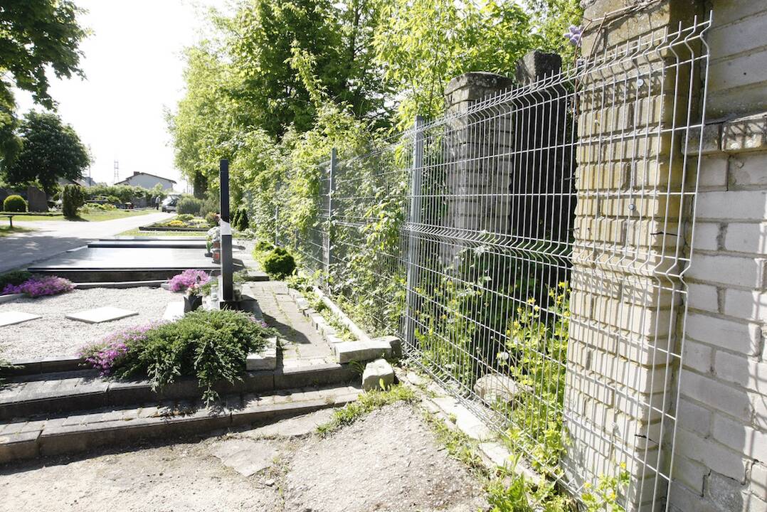 Realybė: dalis Joniškės kapinių tvoros atnaujinta, keliukų į sodus neliko.