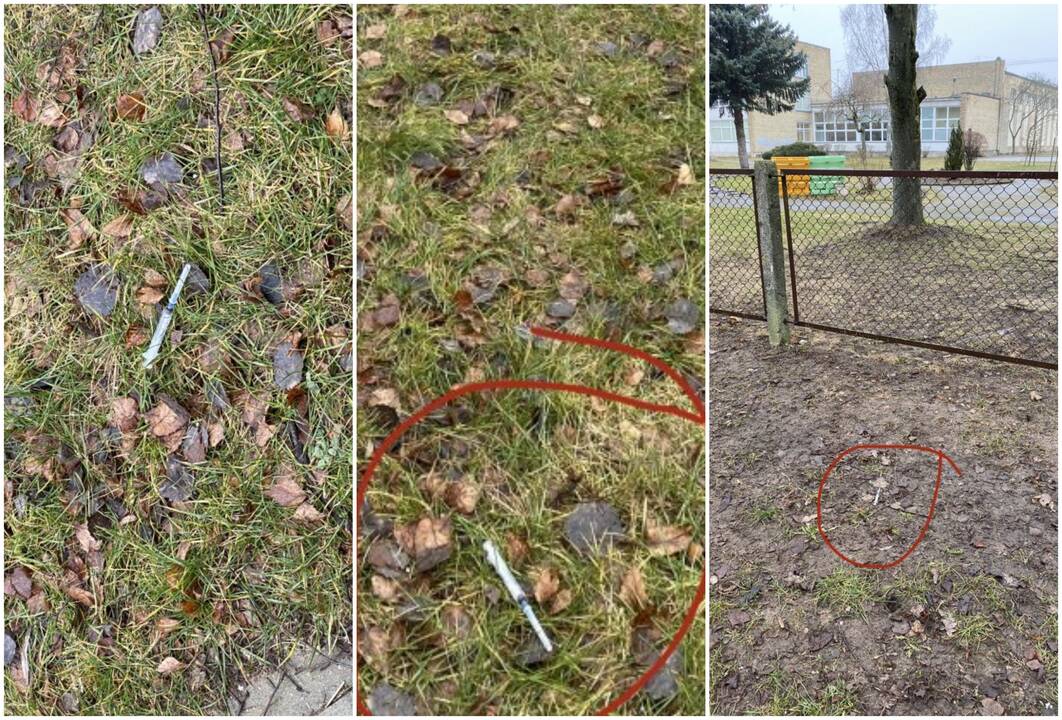 Pavojus: į darželius ir pradines mokyklas Žvejybos uosto rajono gyventojai vaikus veda taku, kurio pakelės nusėtos švirkštais.