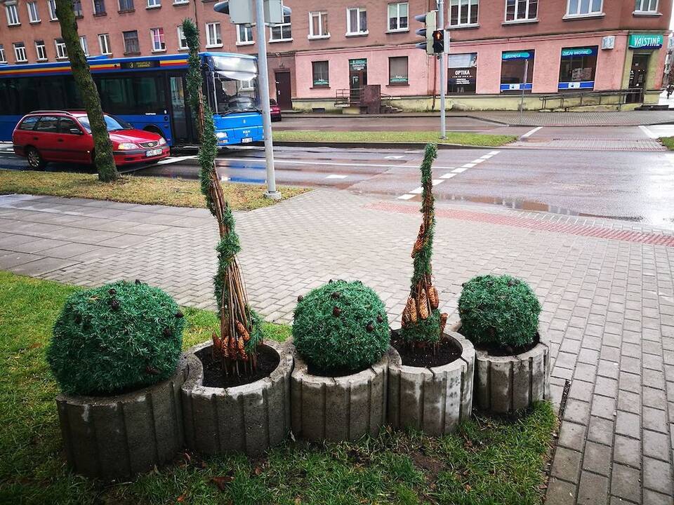 Siekis: viena gyventojų idėjų yra apsodinti gėlėmis pramoninį Žvejybos uosto rajoną.