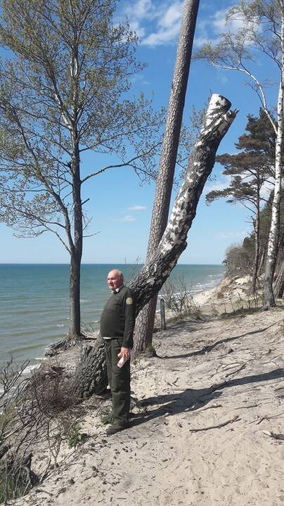 Kerta: Olando Kepurės skardžio prieigose šalinami pavojų keliantys medžiai.