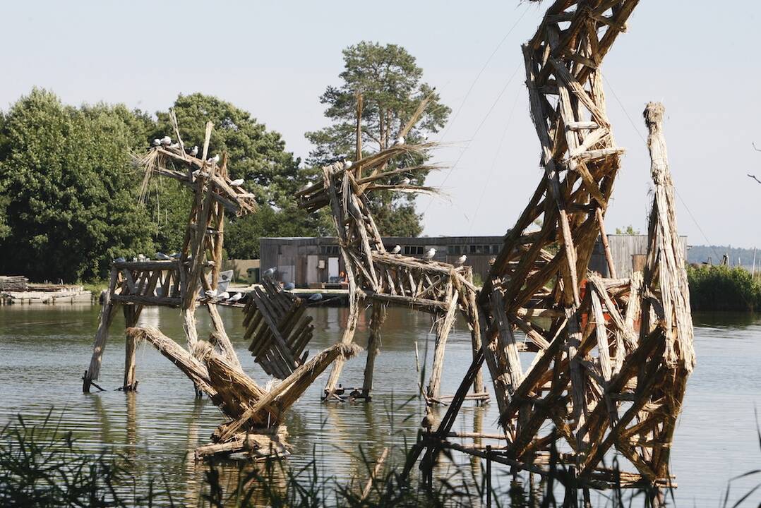 Svarba: 1991 m. įsteigtas Kuršių Nerijos nacionalinis parkas yra saugoma teritorija, įtraukta į UNESCO pasaulinio kultūros paveldo sąrašą.
