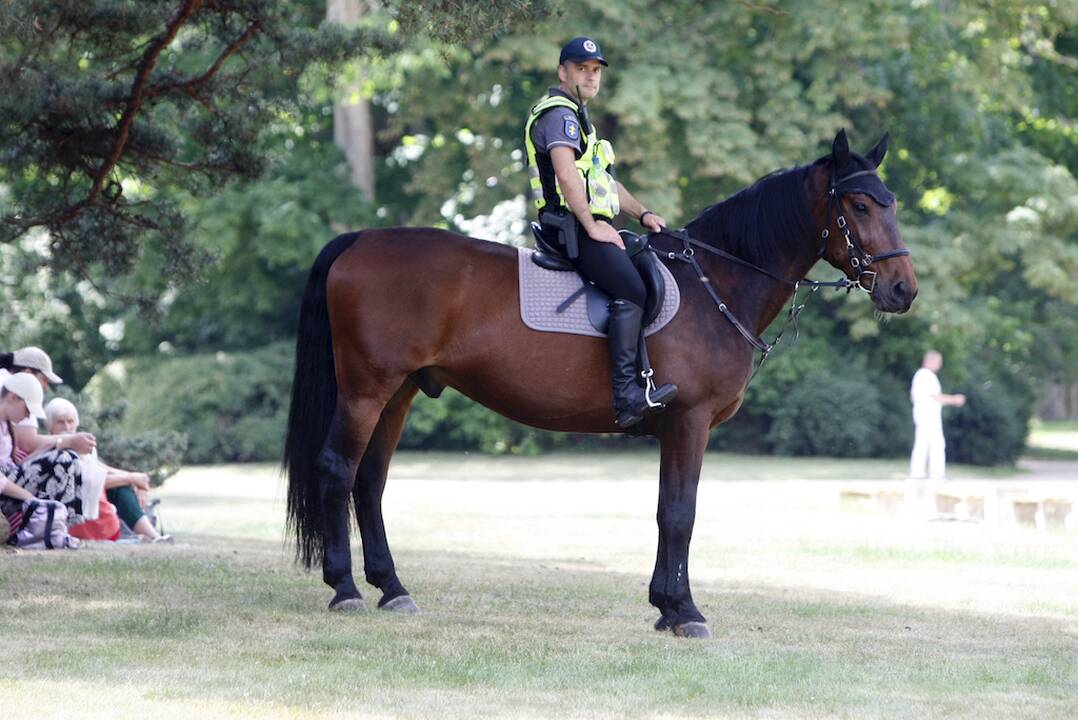 Įvairovė: Palangoje policininkus šiandien galima pamatyti ne tik jojančius ant žirgų ar važiuojančius dviračiais, bet ir tarp vasarotojų nardančius moderniausiais riedžiais.